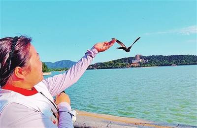 星星配资 北京雨燕在颐和园完成年度“体检”