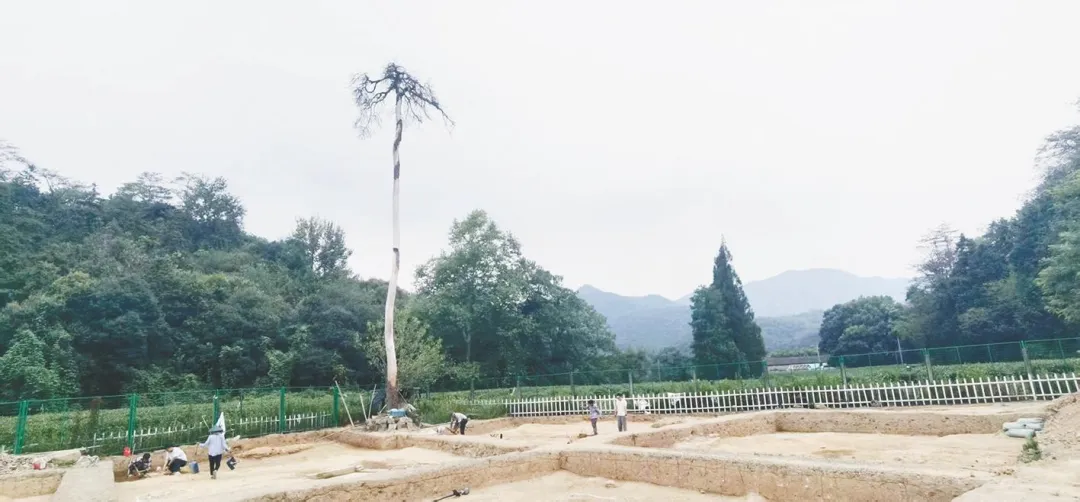 隆源配资 第7座南宋帝后陵！浙江绍兴宋六陵考古，再现重大突破