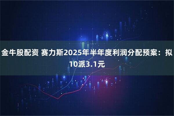 金牛股配资 赛力斯2025年半年度利润分配预案：拟10派3.1元